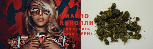 тгк Алзамай