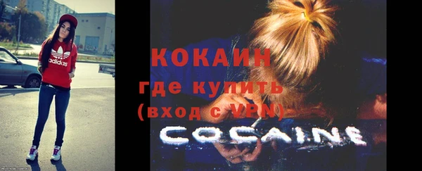 тгк Алзамай