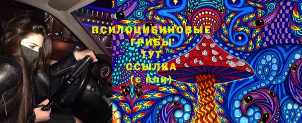 стафф Абинск