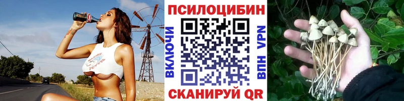 Галлюциногенные грибы MAGIC MUSHROOMS  Избербаш 